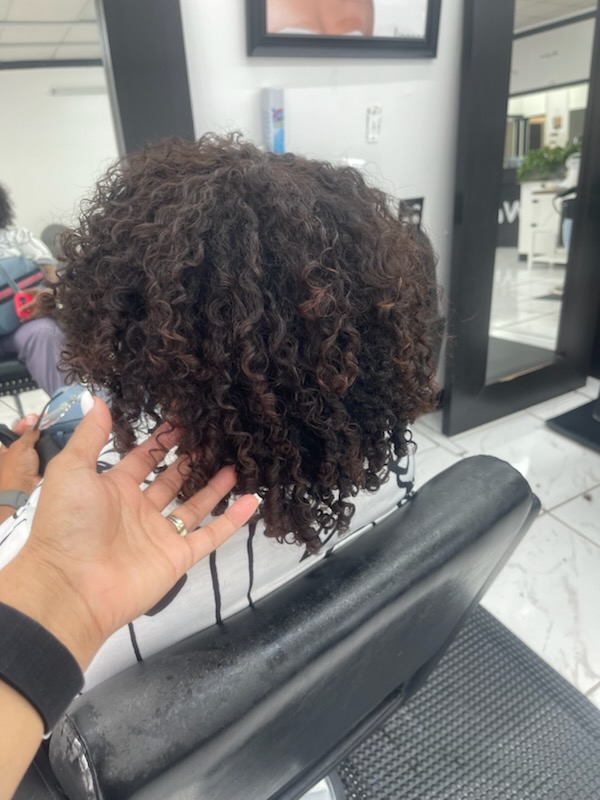 15164196167_13053306455_4_1709912211220