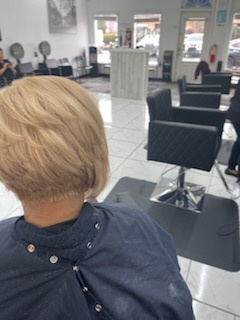 15164196167_13053306455_6_1709911909133