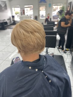 15164196167_13053306455_8_1709911909124